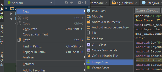 Android java file. File:///Android_Asset/. File ///Android_Asset/privacy_Policy.html.